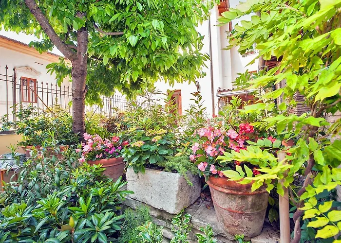B&B BONE NOVELLE dimora storica palazzo zuzi LʼAquila